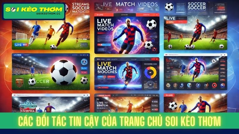 Soi Kèo Thơm Hôm Nay | Trang Soi Kèo Thơm Cung Cấp Tỷ Lệ Kèo✅