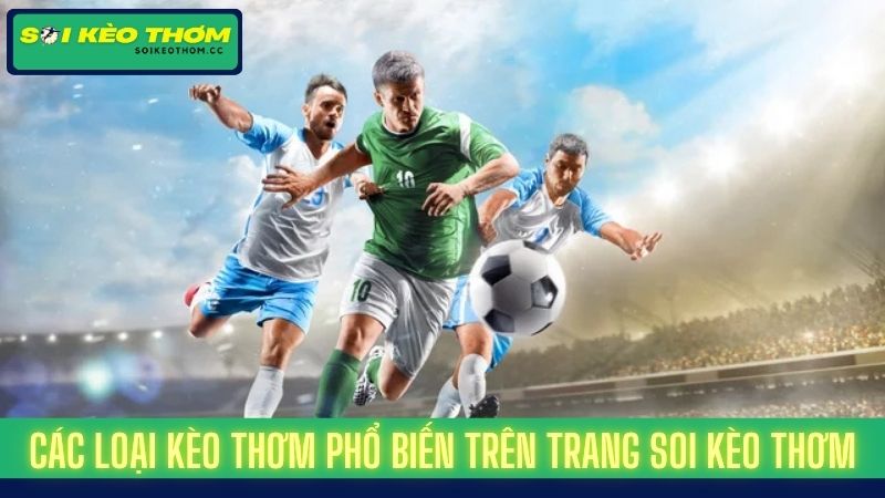 Soi Kèo Thơm Hôm Nay | Trang Soi Kèo Thơm Cung Cấp Tỷ Lệ Kèo✅