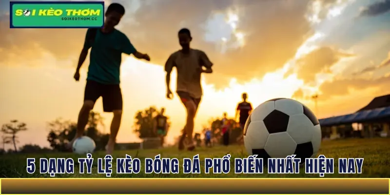 5 dạng tỷ lệ kèo bóng đá phổ biến nhất trên thị trường hiện nay