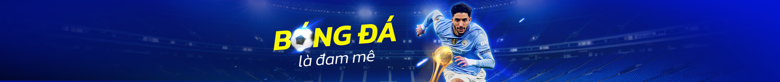 banner banner