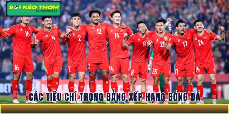 Các tiêu chí trong bảng xếp hạng bóng đá
