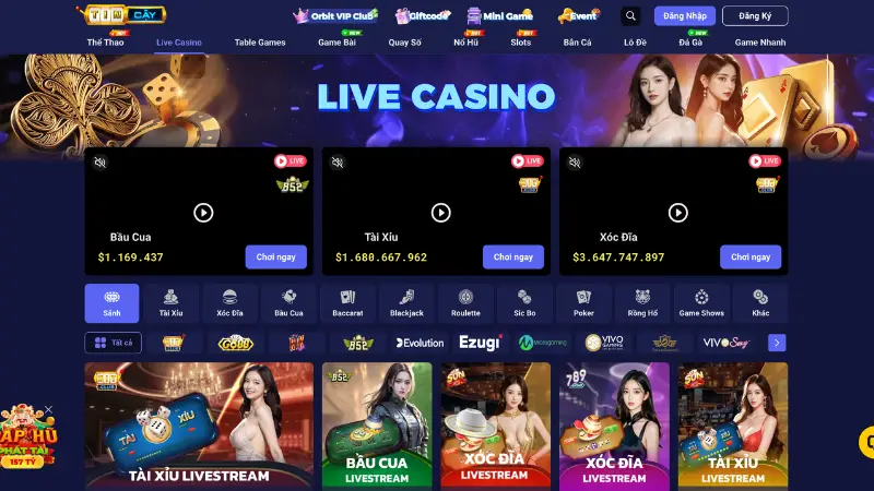 Đăng nhập tài khoản để bắt đầu kích hoạt hoạt động